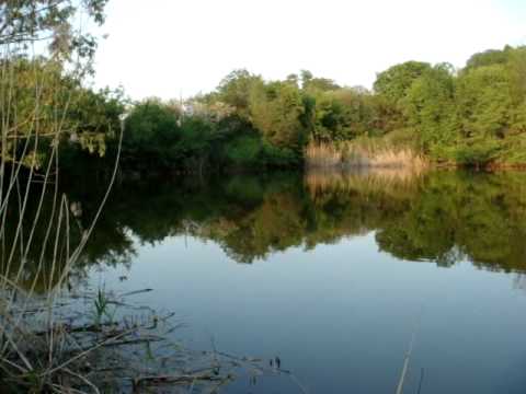 Случайный ролик из видео галереи