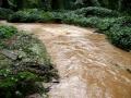 Fernbank Museum Creek- historic flooding Sept 09