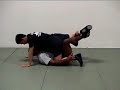Roy Harris butterfly sweep mount escape
