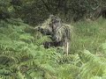 6mm Hunter 