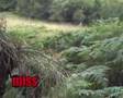 6mm Hunter Stalk & Shoot Training (m40a1)