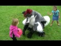 Watch '‪The Magic of Fursuiting'
