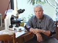 Dr. John D. Light, D.M.D., P.A.: Services we provide.