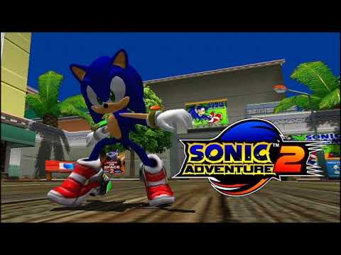 動画