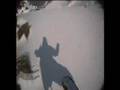 big mountain snowboarding klausberg