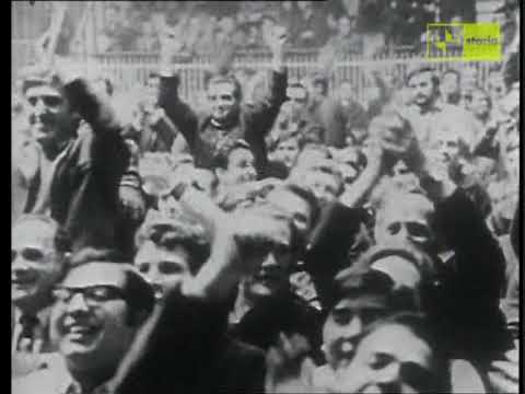 Immagine anteprima YouTube