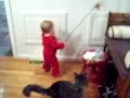 Baby Ella and Jasper the Maine Coon Cat Play