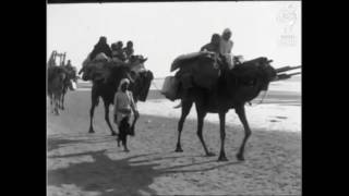  | موسوعة التراث الفلسطيني