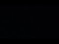 Cat at the light video