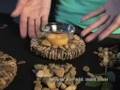 DIY fall centerpiece ideas inspired by the outdoors.