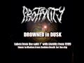PROFANITY -Drowned in Dusk-