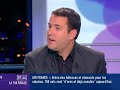 Le petit Harry Potter de l'Elysée