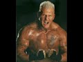 Heidenreich Du Hast BTR