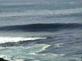 Mejores Bodyboarders Del Mundo