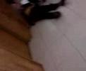 mujer-desmallada-en-bisa.html