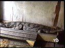 according to a local myth, a couple of decades ago, in a village on the right bank of the mahakam river, upstream from the city of samarinda in the indonesian province of kalimantan, two twin sisters were born. one sister was human while the other had the features and looks of a crocodile. they have lived together, in the same house, ever since.