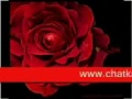 canlı radyo sohbet forumlar bilgi siir ve dahası
