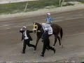 Bienvenida My Own Business despues del Clasico del Caribe Bienvenida My Own Business despues del Clasico del Caribe