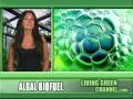 Alternative Energy - Biofuel from Algae