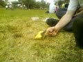 burniing chips