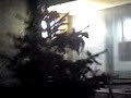Der besoffene Weinachtsbaum