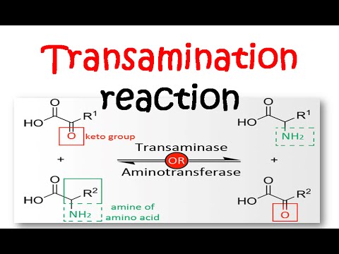 how to react to a chemical or biological attack