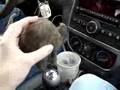 FRED THE AMAZING RAT!!! TARAILER/THEME SONG