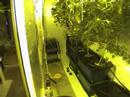 Dope lab busted in Cairns