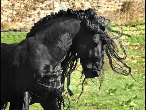 spanish - Spanish Guitar - Best Hits Vol.2 - Part 1 NOTE: I do not own any of the music or video that is used in this production. I am not making a profit out of this ...
