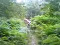 twats in the woods