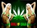 Daddy Mory-ganja