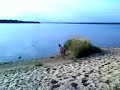 Ju-Ju wygłupy na plaży