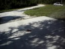 Rocket Car