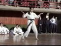 Seido Karate Chile.