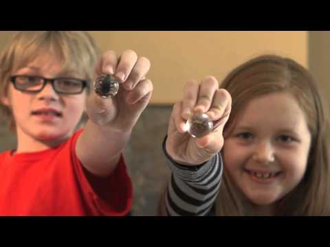 how to discover bugs