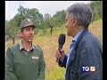 Caccia all'orso marsicano