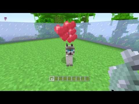 how to train a wolf in minecraft xbox 360