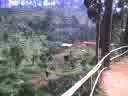 flying fox at lembang flying fox at lembang