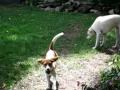 Sonny and Molly-Pumpkin