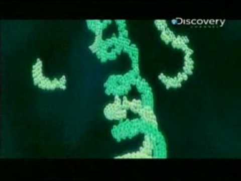 Imagen de previsualización de YouTube