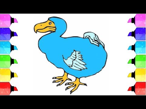 video-linktoworks-Dodo bird drawing - How to draw dodo bird step by step...