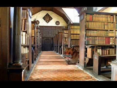 Lesz�mol�s Alomban