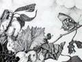 Galleria Altieri - Mostra Antonio Boffa