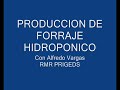 Produccion de Forraje Hidroponico Rmr-prigeds