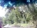 camino quelhue