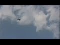 i-bird i-bird
