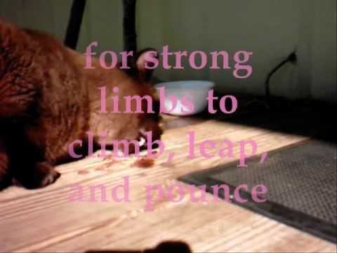 thanksgiving prayer