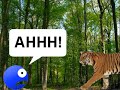Este é o primeiro episódio da segunda temporada das aventuras da Carinha.www.aventurasdacarinha.webnode.com
