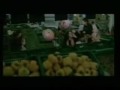 Haifa II هيفا وهبي خاينة II Khaina.flv