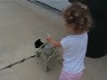 Puppy enjoying stroller ride Puppy enjoying stroller ride